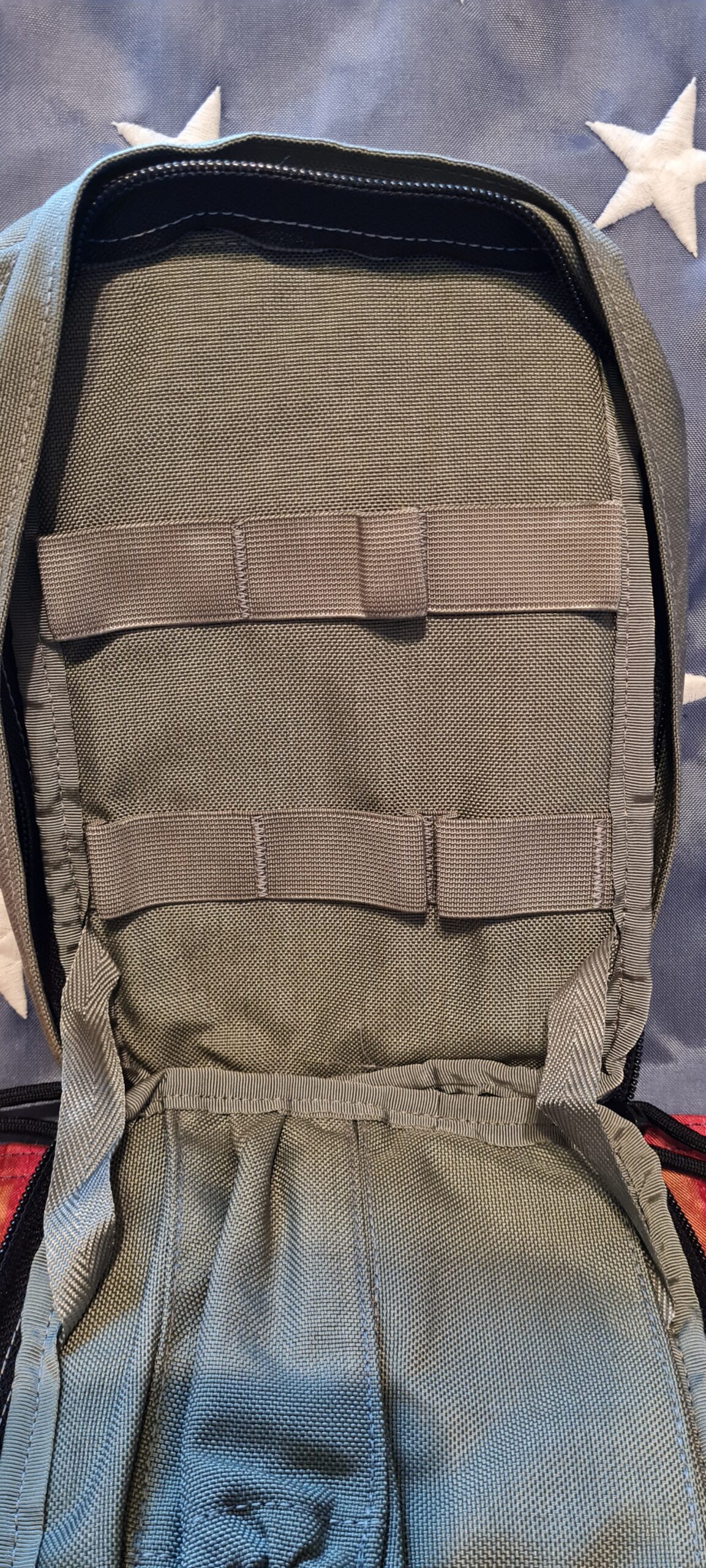 Original US Army Individual Equipment Carrier Bag / Pouch Molle II in Foliage Grey – Bild 3